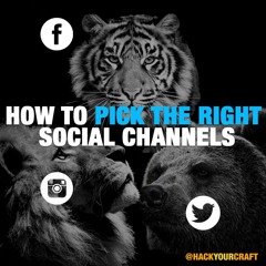 Episode 3: The Lions Tigers and Bears of Social Media