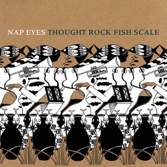 Nap Eyes - Thought Rock Fish Scale: "Roll It" (2016, PoB-24)