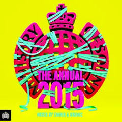 The Annual 2015 Minimix