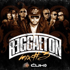Reggaeton Mix #3