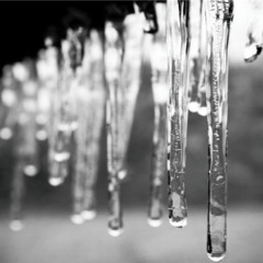 Icicles