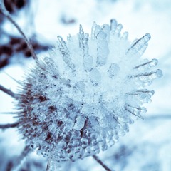 SHM Podcast #44: Reflections And Solice; A Winter Mix For Shimmering Moods By Darren Harper