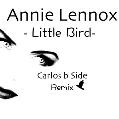 Annie Lennox - Little Bird (Carlos b Side Remix)