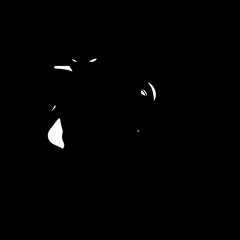 Ninja nella notte part.7