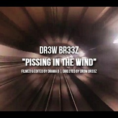 Pissin' In Th3 WInd (click buy for free DL)