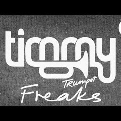 Timmy Trumpet - Freaks (Mr. DatiQ Remix)