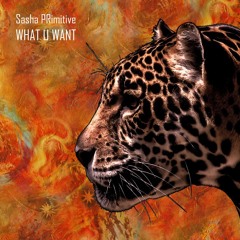 Sasha PRimitive - Hold Me (Original Mix) ★OUT NOW ★ Deep Strips