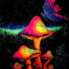 Molla & Mela - Di (E)Me Ti