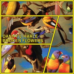 Danny L Harle - Broken Flowers [DOWNLOADABLE MP3]