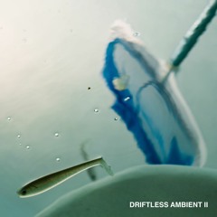 Driftless Ambient II - CFCF - Dissecting