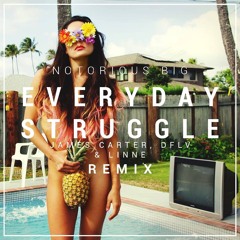 The Notorious B.I.G. - Everyday Struggle (James Carter, DFLV & Linne Remix) (Instrumental Version)