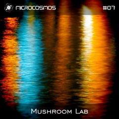 Mushroom Lab - Microcosmos Chillout & Ambient Podcast 007