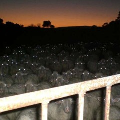 Road to Exhale (Portishead Remix - LANDR Master)