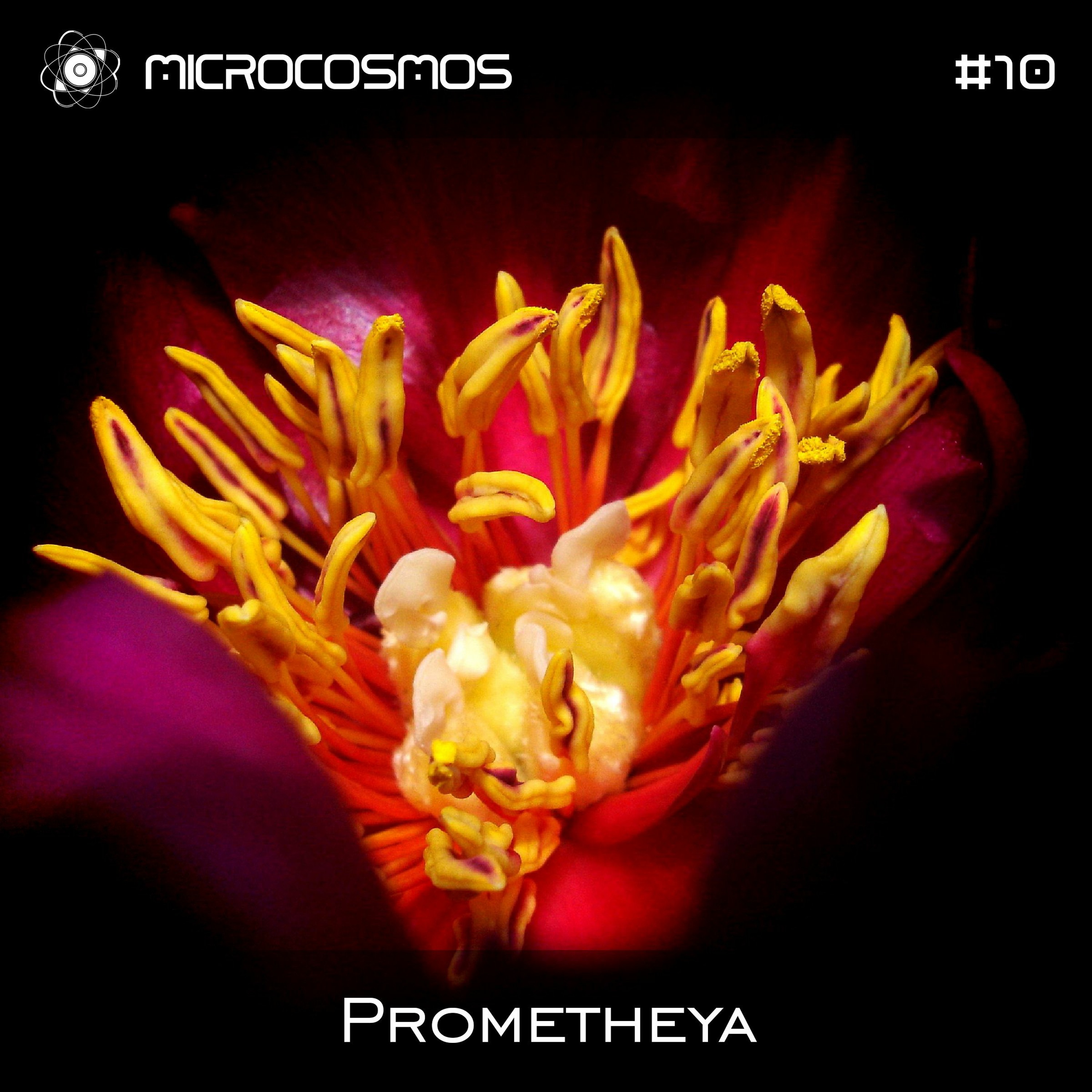 Microcosmos ChillOut and Ambient