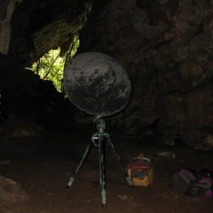 Echolocation Frenzy with Cave Atmosphere - - - Cueva De Guacharo, Colombian Andes