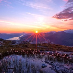 Visions Of Immortality