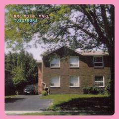 NML VGTBL MNRL - WISH YOU'D STAY PINK