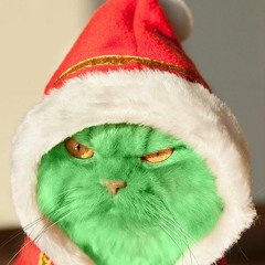 You're A Mean One (Trap Remix)