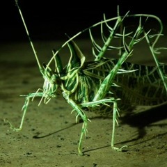 self-evident (by corrupt)