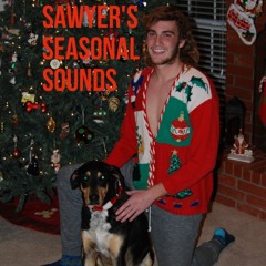 1. All I Want for Christmas Is You - Sawyer Wilson