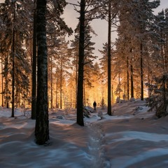 ColdWorld - Hymn To Eternal Frost