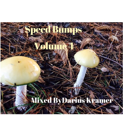 Speed Bumps Volume 4 | Mixed by Darius Kramer