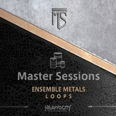 MASTER SESSIONS : ENSEMBLE METALS LOOPS