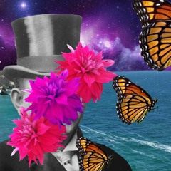 DankLogic DuBB Session Sound Science Meditation