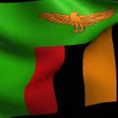 Stream THE STATE OF THE CONSTITUTION MAKING PROCESS IN ZAMBIA by