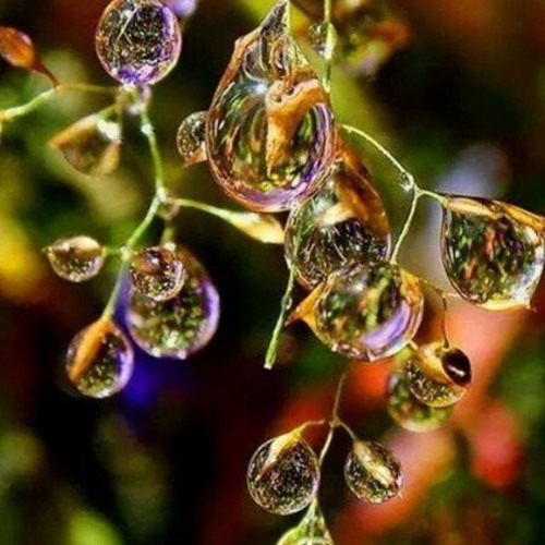 Stream Over The Rainbow by Corinne Rocca | Listen online for free on ...