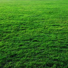 Moar Grass n Stuff (Owen Money's Disgusting Disco Ultimate x3 Mashup)