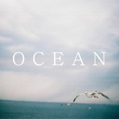 Andreas Moe - Ocean ( LCAW Remix)