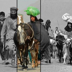 Waziristan Song