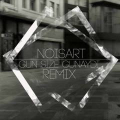 NO.1 - GUN SIZE GUNAYDI // NOISART REMIX