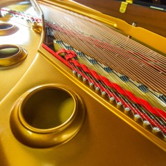 Counterpoint for Disklavier (2014)