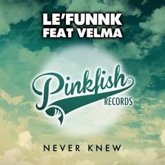 Le'Funnk - Never Knew (Pal Hamel Remix) **OUTNOW**