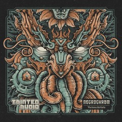 Unknown System - Murder *OUT NOW ON TAINTED AUDIO*