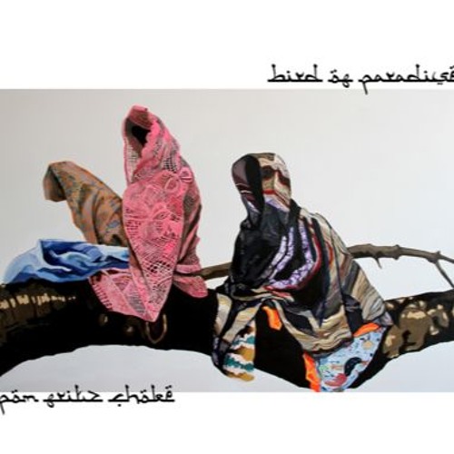 PREMIERE: Bird of Paradise - Pom Fritz Choke (Man Power Remix)- Hakt Recordings