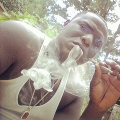 SDMG Wan FT Zone6 Tyree