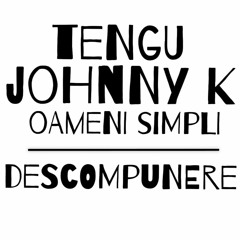 Johnny Kangaroo X Tengu (S.E.C.N.A) - Descompunere(prod.Oameni Simpli)