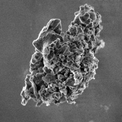 L’espoir ne fait pas la poussière