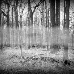 Hemisphere Dub - "Oblige Au Silence" (Prev)