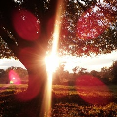 Dec 3 Aural Advent. Something In You (recorded live at Rancheros Watts)