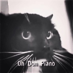 Oh Don Piaaaaano #talkingcat #catmeme, oh long johnson