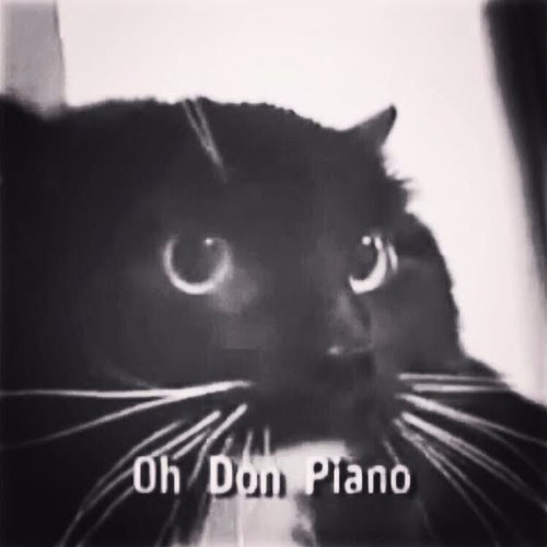 Stream Oh Don Piano | Listen to Songs I'm In playlist online for free on  SoundCloud