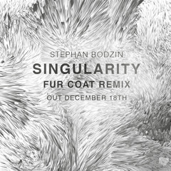 Stephan Bodzin - Singularity (Fur Coat Remix)
