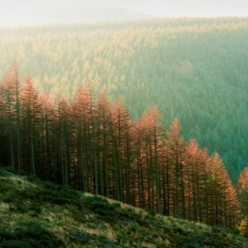 Flo - Man Of The World [Premiere]