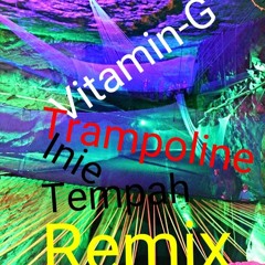 Tinie Tempah - Trampoline (Vitamin-G Remix) #FreeDownload