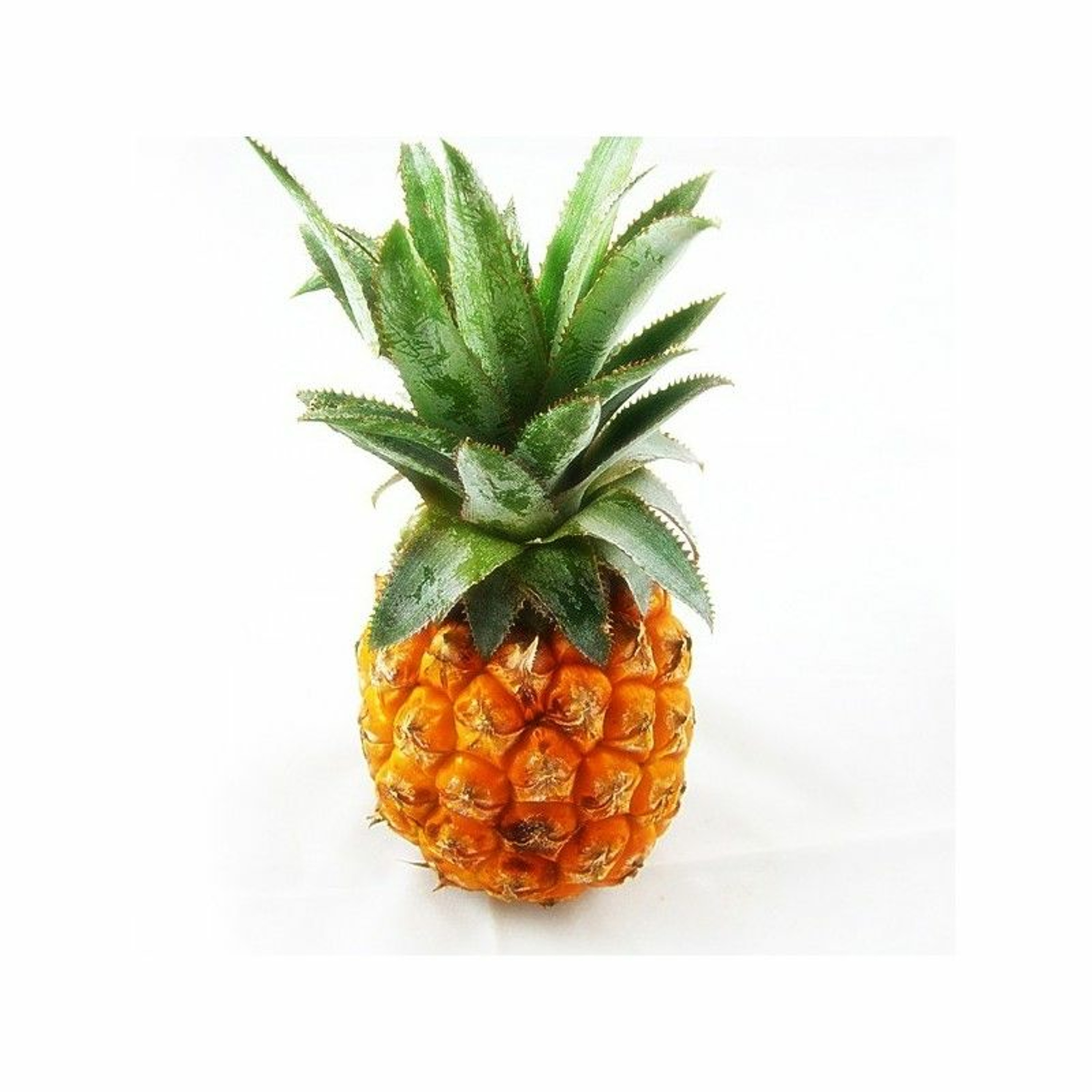 ANANAS GOD episode artwork
