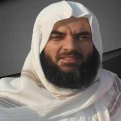 الشيخ هاني أبو شيته سورة النور صوت سيناء الحزين